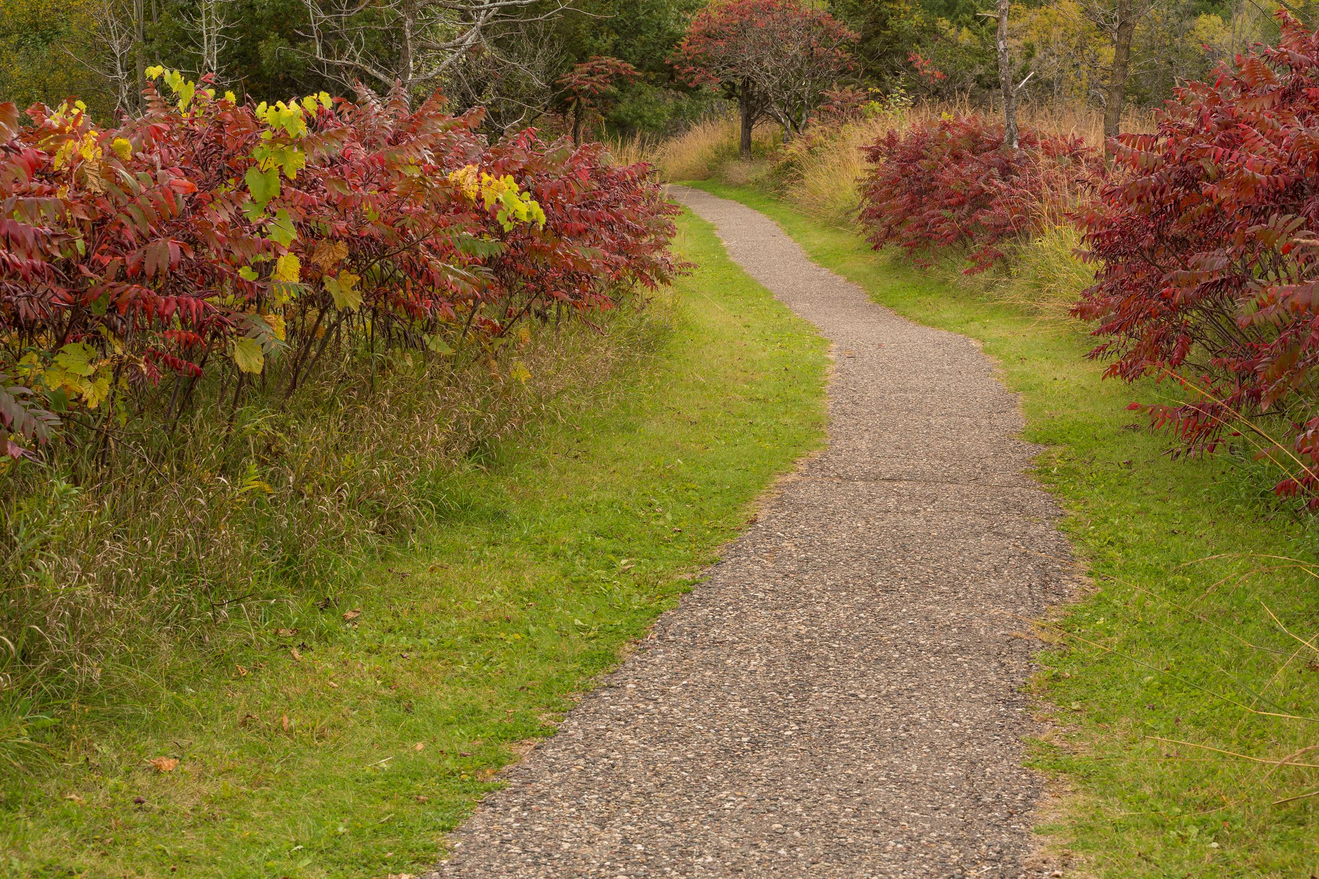 South Creek Greenway Trail Corridor