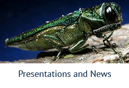 Presentations and News