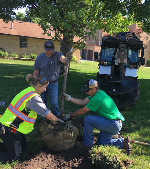 tree being planted at the Lakeville Area Arts Center